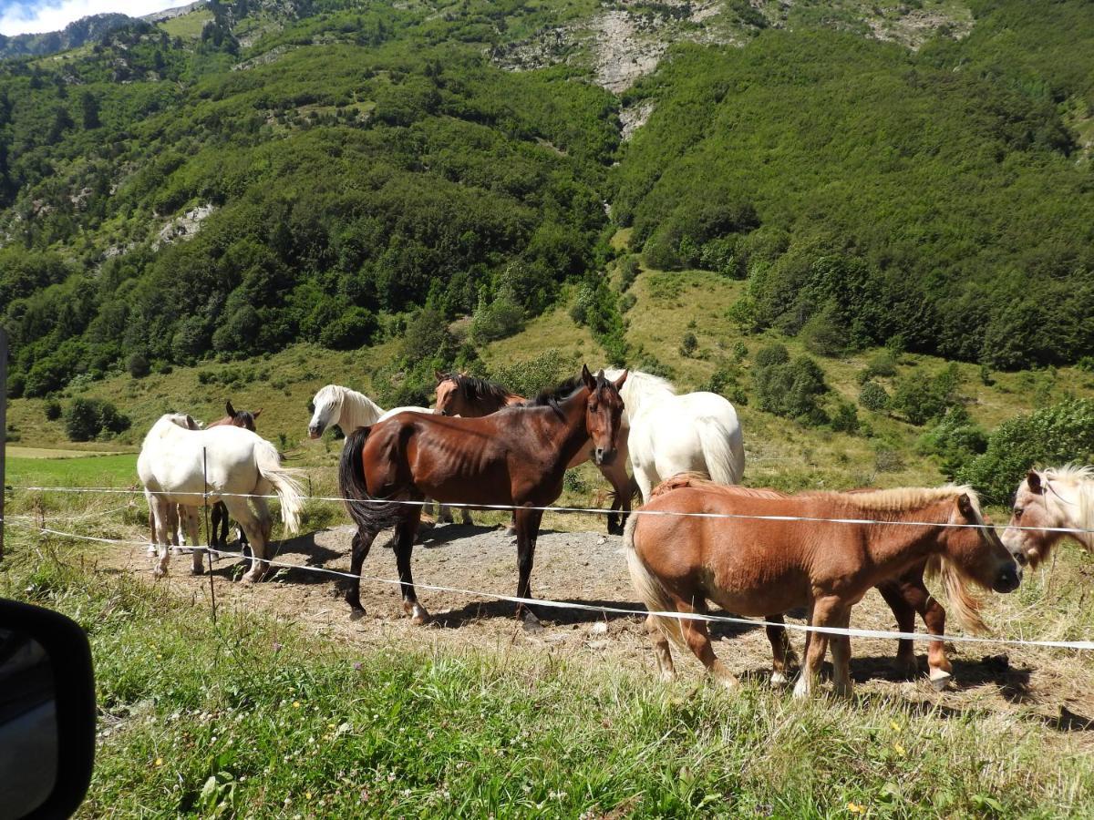 Gite Au Printemps Japonais, Petit Train De La Mure, Parc Des Ecrins Pierre-Chatel Exteriör bild